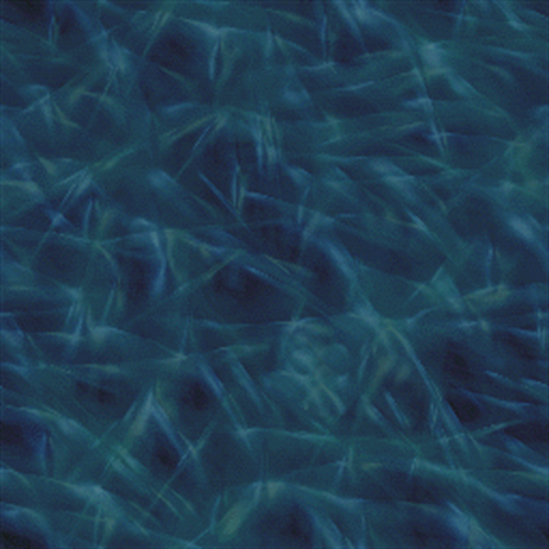 shahriar&nbsp;sadeghi